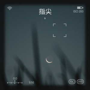 指间沙封面