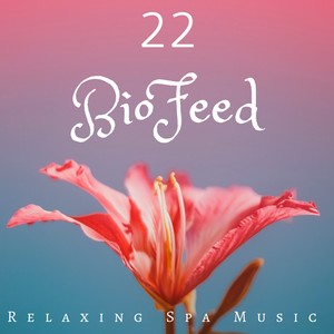 BioFeed 22: Relaxing Spa Music, Background Music for Wellness Center, Health and Wellbeing