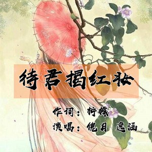 待君揭红妆