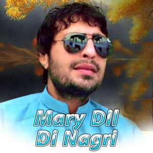 Mary Dil Di Nagri