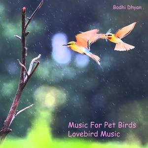 LoveBirds Music