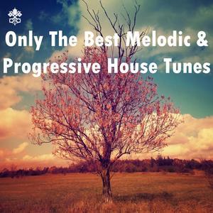 Only The Best Melodic & Progressive House Tunes