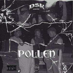 POLLEN (Explicit)