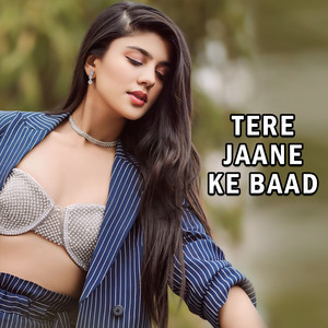 TERE JAANE KE BAAD