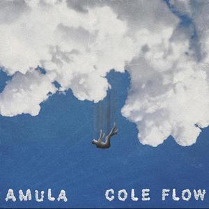Cole Flow (Explicit)