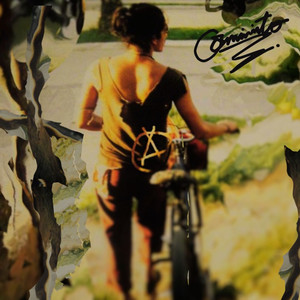 Para Todos Los Bricheros