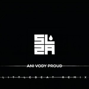 Ani vody proud (Littlebeat Remix)
