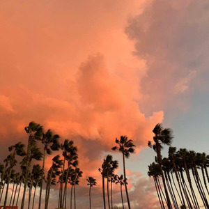 许昌伟 - 除了春天 爱情和樱花