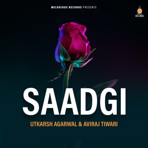 Saadgi