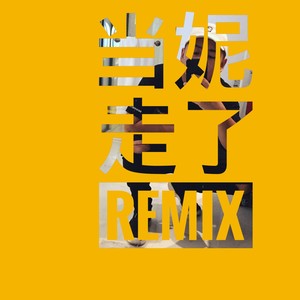 徐真真－当妮走了 REMIX