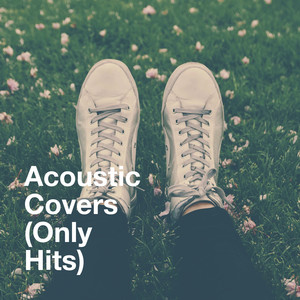 Life Goes On-Acoustic Covers