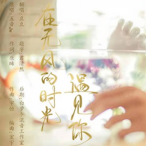 在无风的时光遇见你