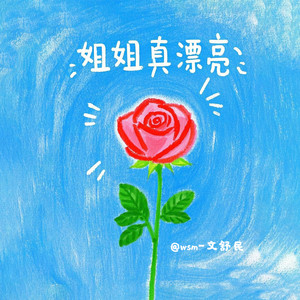 姐姐真漂亮 (中文版)