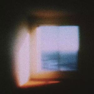 疯狂动物城(zoo)