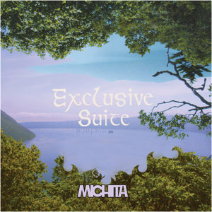 Michita - Fledgeout