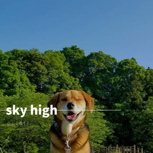 skyhigh