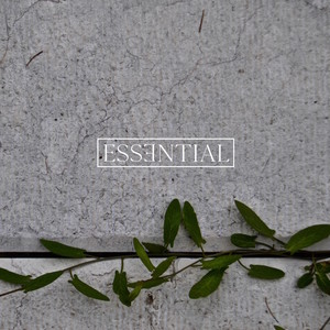 ESSENTIAL 011