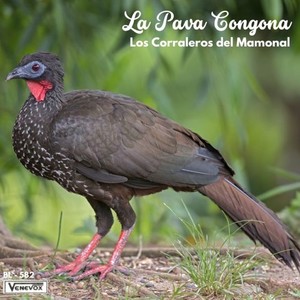 La Pava Congona