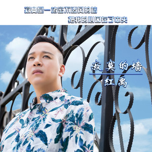 寂寞的墙 (DJ版)