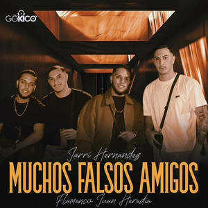 Muchos Falsos Amigos