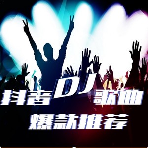 北极星音乐台 - 折风渡夜(dj版)