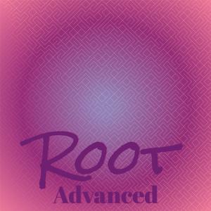 Root Advanced