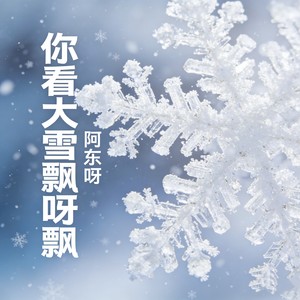 你看大雪飘呀飘