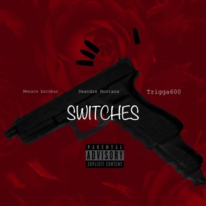 Switches (Explicit)