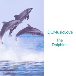 The Dolphins