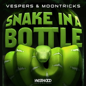 Snake In A Bottle (Original Mix)