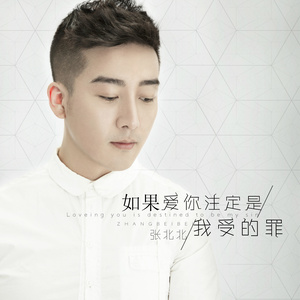 张北北 - 如果爱你注定是我受的罪