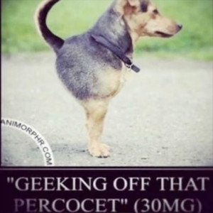 3 losowe słowa (Explicit)