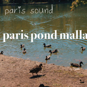 Paris Pond Mallard Paris Sounds