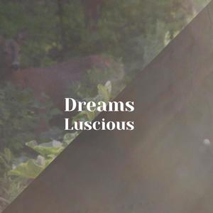 Dreams Luscious