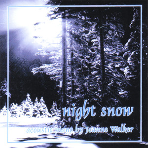 Night Snow