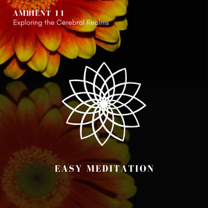 Gentle Ways (Original Mix)