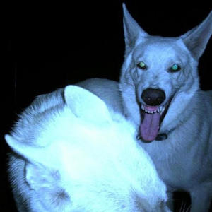 GHVST - i just want a friend who is here for me