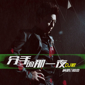 分手那一夜 (DJ版 伴奏)