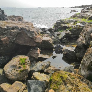 The garden with rain