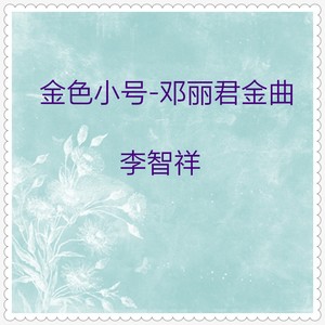 想起你 (小号独奏)