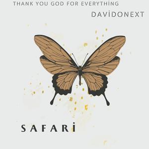 Safari (Radio Edit) [Explicit]