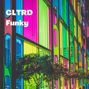 Funky (Extended Mix)
