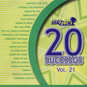 20 Sucessos, Vol: XXI