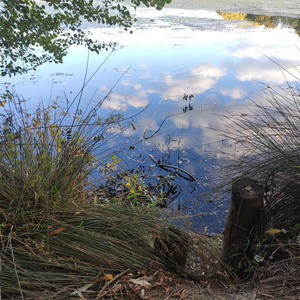 Steno Freestyle (feat. Kov) (Explicit)