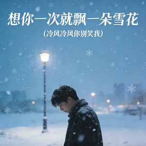 想你一次就飘一朵雪花 (冷风冷风你别笑我)
