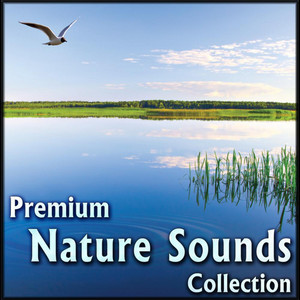 Premium Nature Sounds Collection: Sounds of Nature for Sleeping & Relaxing