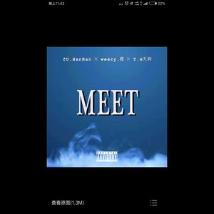 MEET