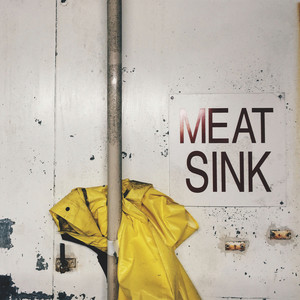 3 Hours in the Meat Sink