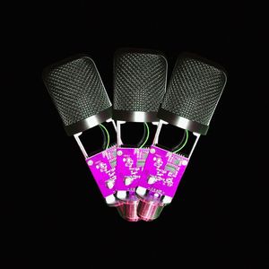 Holocaust (Explicit)