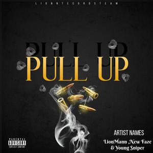 Pull Up (feat. New Faze & Young Sniper) (Explicit)